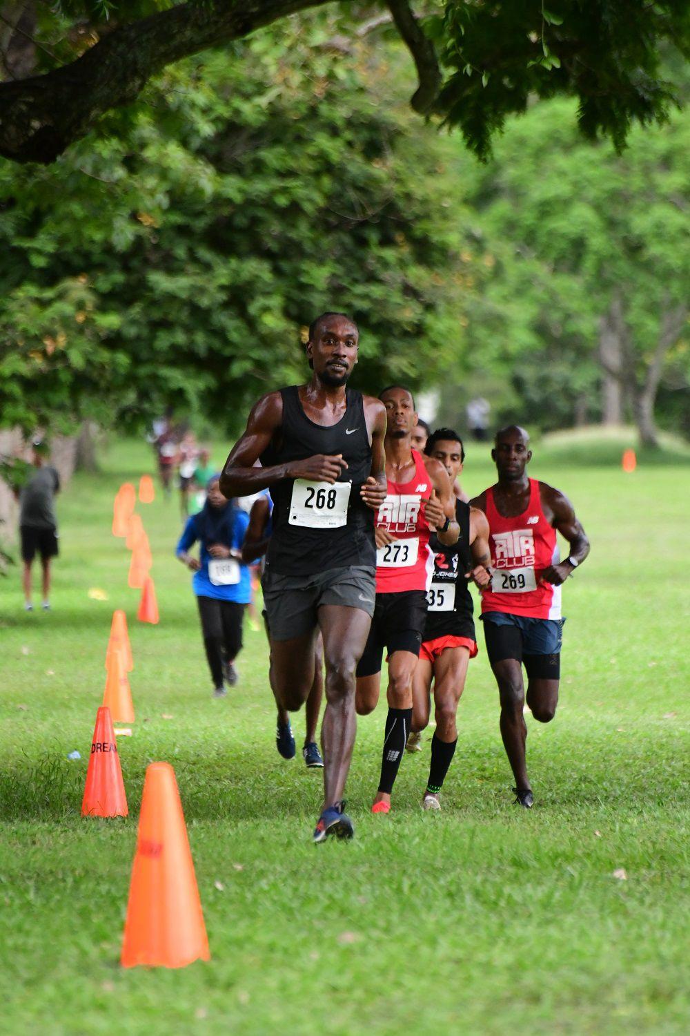 25_stapleton_repeats.jpg