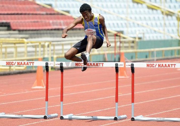 13_mckay_cole_degannes_carifta_standards.jpg