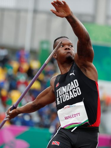 20_walcott_snares_javelin_bronze.jpg